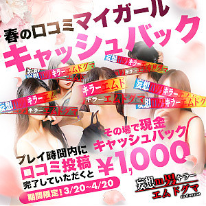 春のマイガール登録・デリヘルタウン口コミ投稿 キャッシュバックイベント開催!